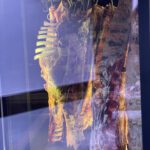 IMG_2596